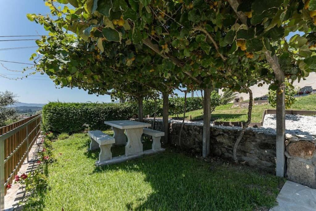 Fernandes Guest House Bright Private Suite Ponte de Lima Exterior foto